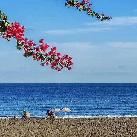 Atico En Primera Línea De Playa De * Melenara